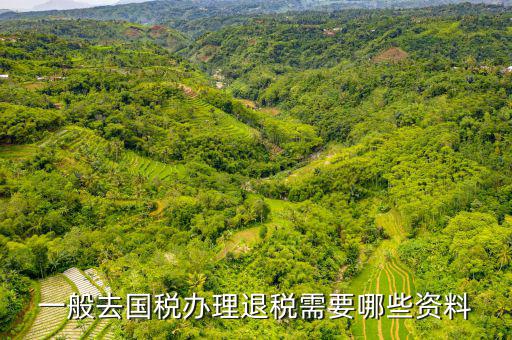 稅務(wù)局退稅要什么手續(xù)，一般去國(guó)稅辦理退稅需要哪些資料