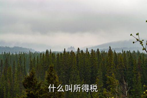 居民企業(yè)所得稅是什么，居民企業(yè)所得稅月度預繳納稅申報收入指什么時候的
