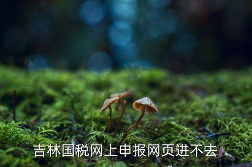 吉林省國稅上不去為什么，吉林省國家稅務(wù)局晚上申報(bào) 無法安全登陸