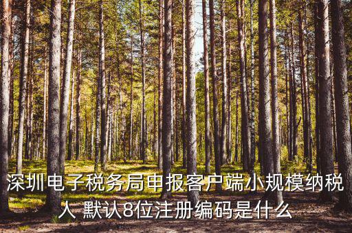 深圳納稅人編號是什么，什么是深圳市國稅百元開頭發(fā)票的納稅人識別號
