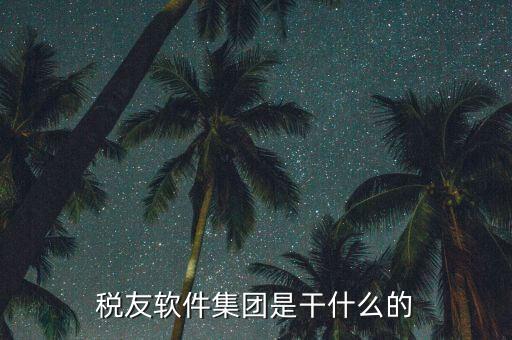 稅友軟件是干什么的，稅友的稅友軟件集團(tuán)
