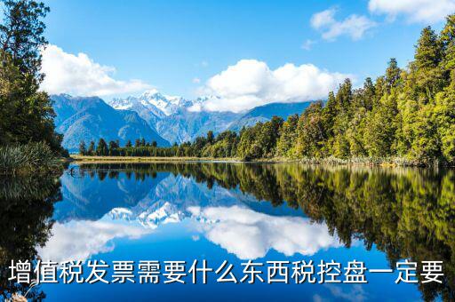 發(fā)票打印需要什么盤，調(diào)試打印增值稅發(fā)票的打印機(jī)要插入金稅盤嗎