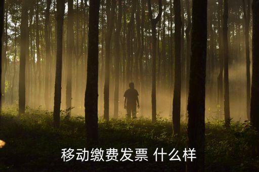 移動電子發(fā)票什么樣，移動繳費(fèi)發(fā)票 什么樣