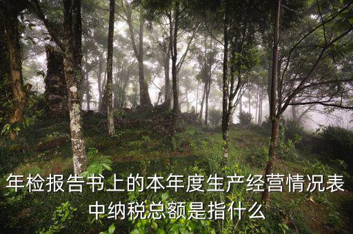 年報的納稅額看什么表，年檢報告書上的本年度生產(chǎn)經(jīng)營情況表中納稅總額是指什么