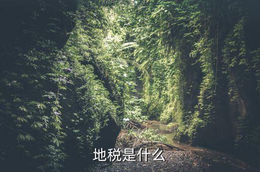 地稅初心是什么，初心使命指的是什么