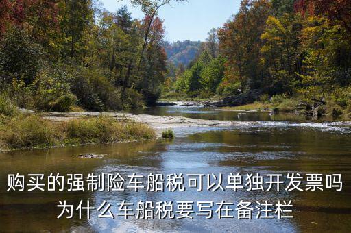 保險車船稅為什么在發(fā)票備注欄，購買的強制險車船稅可以單獨開發(fā)票嗎為什么車船稅要寫在備注欄