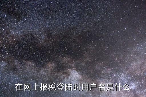 在網(wǎng)上報(bào)稅登陸時用戶名是什么
