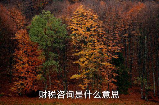 深圳稅務(wù)納稅咨詢平臺(tái)是什么意思，財(cái)稅咨詢是什么意思