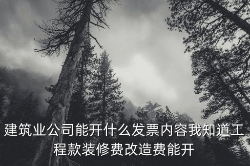 建筑業(yè)開票開什么內(nèi)容，建筑行業(yè)需要開些什么票