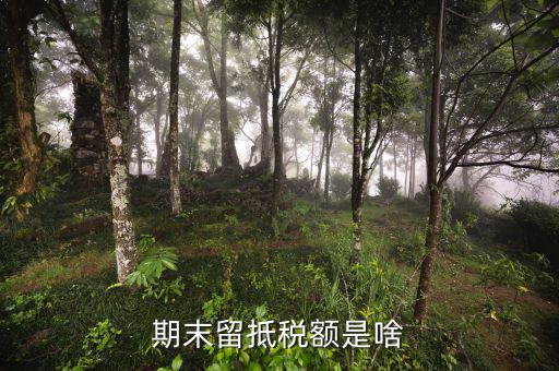 什么是期末留抵稅額，增值稅納稅申報期末留抵稅額是什么意思