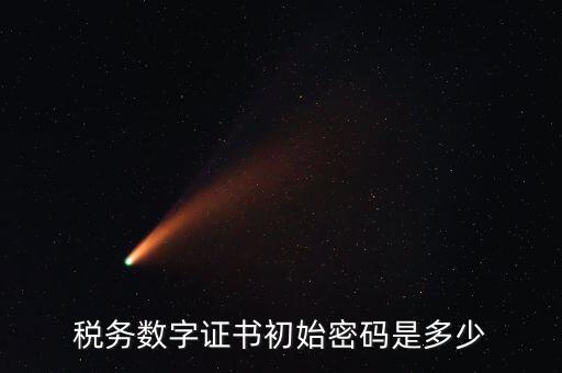 稅務數(shù)字證書初始密碼是多少