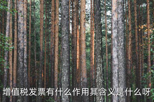 要發(fā)票有什么用，發(fā)票有哪些作用呢