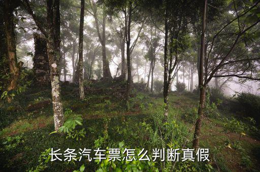長條國稅車票什么樣子，國稅長途汽車票什么樣