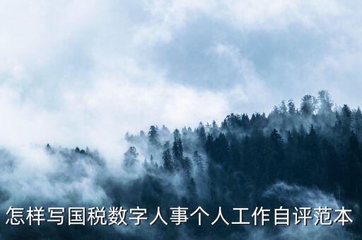 國稅數(shù)字人事是什么，專業(yè)的除了可以考會計證和證券從業(yè)資格證以為還可以考什么證