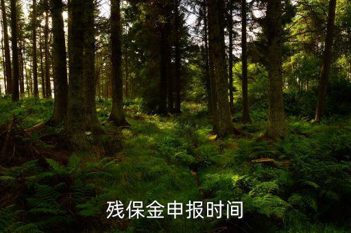 2016殘保金什么時(shí)候交，殘保金是一年一交嗎