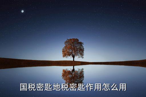 地稅密鑰是干什么的，國稅密匙地稅密匙作用怎么用