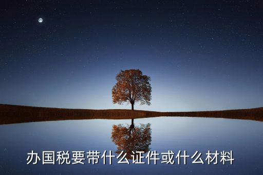 新辦國稅需要什么資料，第一次買國稅發(fā)票需要些什么手續(xù)