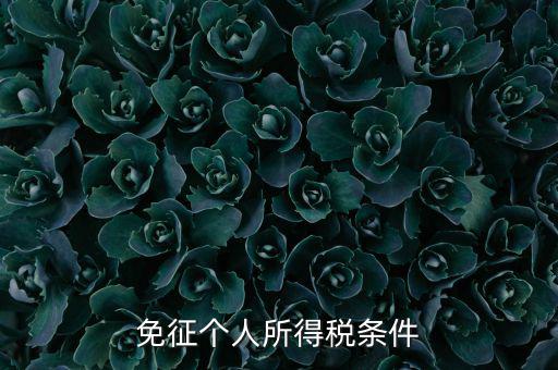 四業(yè)免征個人所得稅有什么要求，個人所得稅減免稅有哪些要求