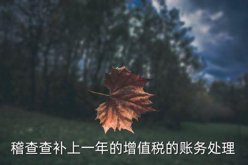 稽查補(bǔ)什么稅，請(qǐng)問被國(guó)稅局稽查局查處補(bǔ)交增值稅所得稅及滯納金計(jì)入應(yīng)哪個(gè)科目