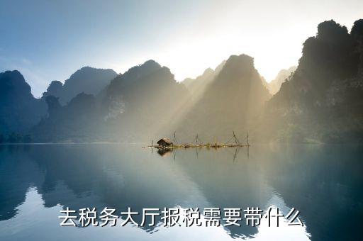 去地稅大廳解決欠稅問題需帶什么資料及文件，去稅務(wù)大廳查詢公司欠的增值稅需帶啥資料