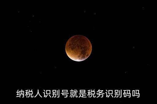 稅務(wù)標(biāo)識(shí)符是什么意思，納稅人識(shí)別碼是什么