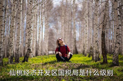 仙桃稅務(wù)局局長是什么級別，仙桃經(jīng)濟開發(fā)區(qū)國稅局是什么級別