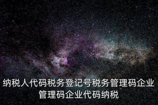 納稅人管理代碼是什么，納稅人代碼稅務(wù)登記號稅務(wù)管理碼企業(yè)管理碼企業(yè)代碼納稅