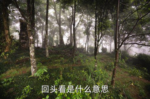 稅務(wù)回頭看什么意思，被稅務(wù)局風(fēng)險監(jiān)控是什么意思