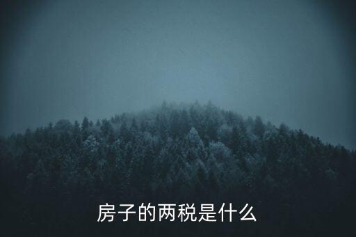 兩稅清查是指什么，房子的兩稅是什么