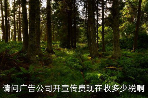 請(qǐng)問(wèn)廣告公司開宣傳費(fèi)現(xiàn)在收多少稅啊
