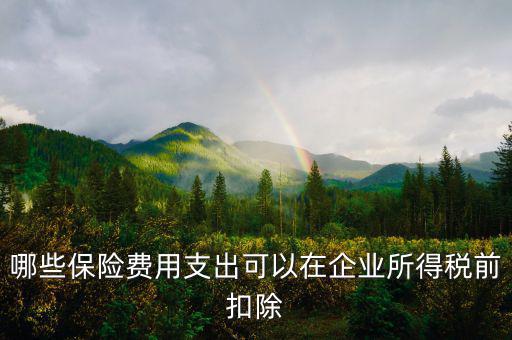 什么保險可以稅前扣除，哪些保險費用支出可以在企業(yè)所得稅前扣除
