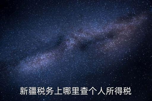 新疆稅務上哪里查個人所得稅