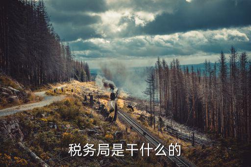在稅務(wù)局都干什么啊，稅務(wù)局是干什么的