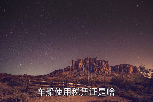 車船稅繳納憑證是什么意思，車船使用稅憑證是啥