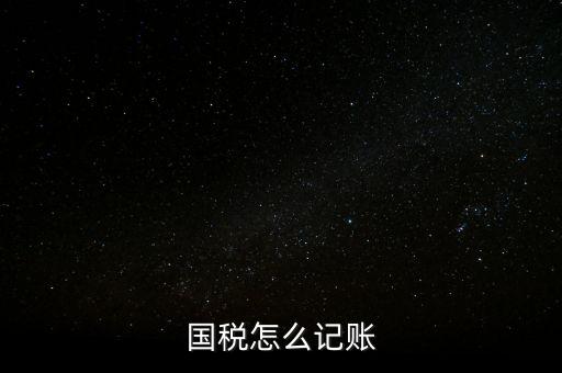 什么稅收記賬，國稅怎么記賬
