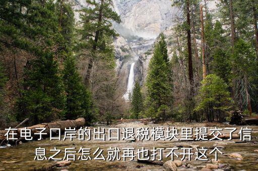 為什么退稅平臺進不去，在電子口岸的出口退稅模塊里提交了信息之后怎么就再也打不開這個