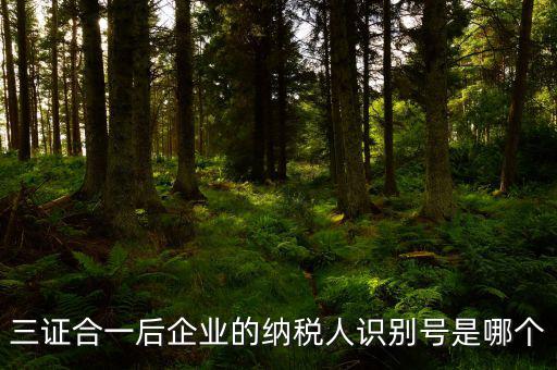 三證合一的納稅人識(shí)別號(hào)是什么，三證合一后企業(yè)的納稅人識(shí)別號(hào)是哪個(gè)
