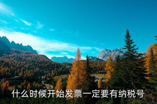 什么發(fā)票要稅號(hào)，什么時(shí)候開(kāi)始發(fā)票上單位要有稅號(hào)