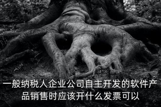 賣軟件交什么稅，一般納稅人企業(yè)公司自主開發(fā)的軟件產(chǎn)品銷售時應(yīng)該開什么發(fā)票可以