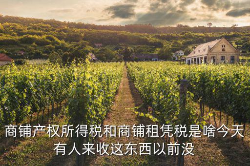 什么是商鋪?zhàn)赓U稅，商鋪出租應(yīng)交哪些稅