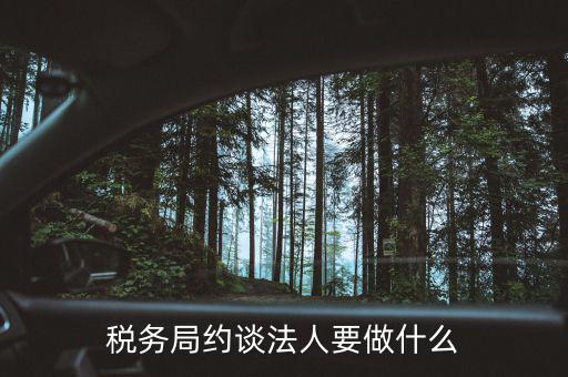 稅務(wù)異常約談法定代表干什么，稅務(wù)局約談法人要做什么