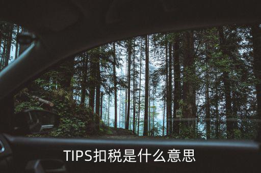 稅務(wù)tips是什么意思，tips扣稅是什么意思