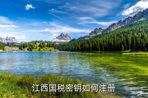江西國稅密鑰是什么意思，為啥江西國稅的CA密鑰總是裝不成功