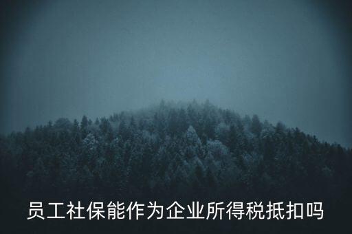 企業(yè)社保可以抵什么稅，員工社保能作為企業(yè)所得稅抵扣嗎