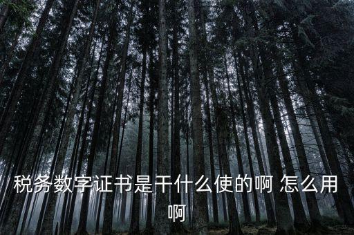 稅務數(shù)字證書是干什么使的啊 怎么用啊