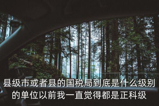 縣國稅局辦稅服務廳主任是什么級別，縣地稅局辦公室主任是什么行政級別
