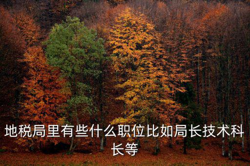 地稅局有什么委員，地級市稅務(wù)局辦公室副主任屬什么級別的官員