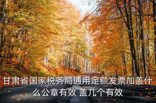 甘肅省國家稅務局通用定額發(fā)票加蓋什么公章有效 蓋幾個有效