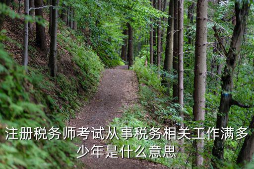 稅務(wù)從業(yè)人數(shù)是什么意思，請(qǐng)問(wèn)稅務(wù)自查表中的查 數(shù)是什么意思急