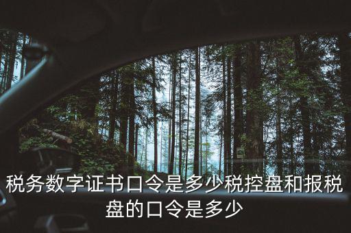 國(guó)稅證書口令是什么，我想問下國(guó)家稅務(wù)網(wǎng)上申報(bào)點(diǎn)擊安全登錄時(shí)出現(xiàn)的用戶口令是什么